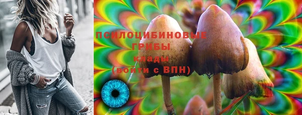 прущие грибы Алексеевка